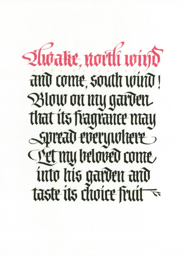 Song of Solomon (Raoul Martinez)