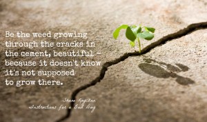 quote Shane Koyczan Be the weed