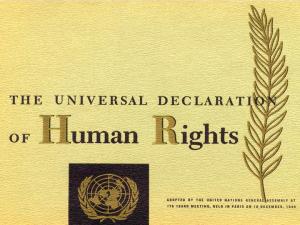 theuniversaldeclarationofhumanrights