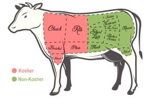 Kosher Cow