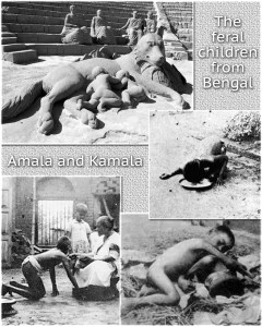 feral children amala-and-kamala